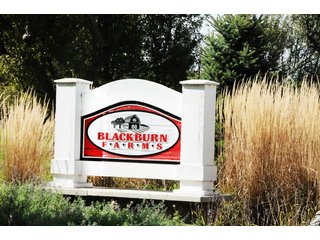 Tract 3 - REAL ESTATE AUCTION - 495+/- ACRES OFFERED IN 19 TRACTS IN BRANCH COUNTY, MICHIGAN